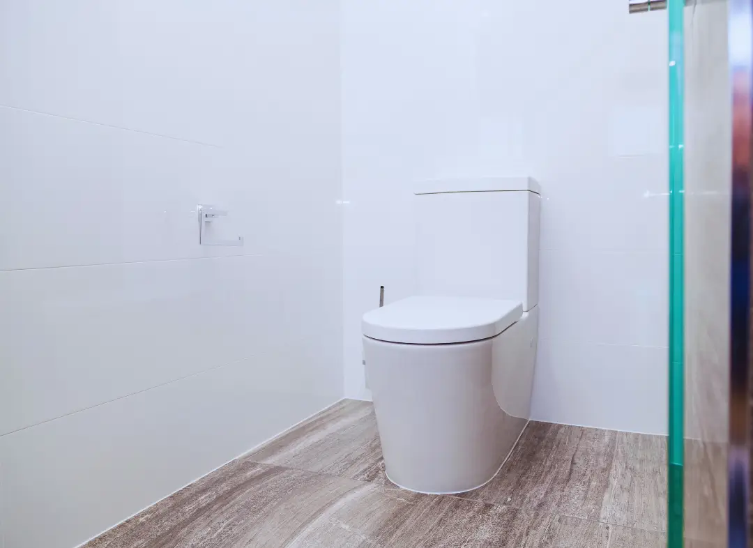 Remplacement de wc Quinsac